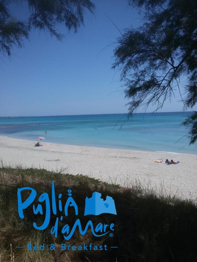 B&B Puglia D'Amare Lizzano  Exteriér fotografie