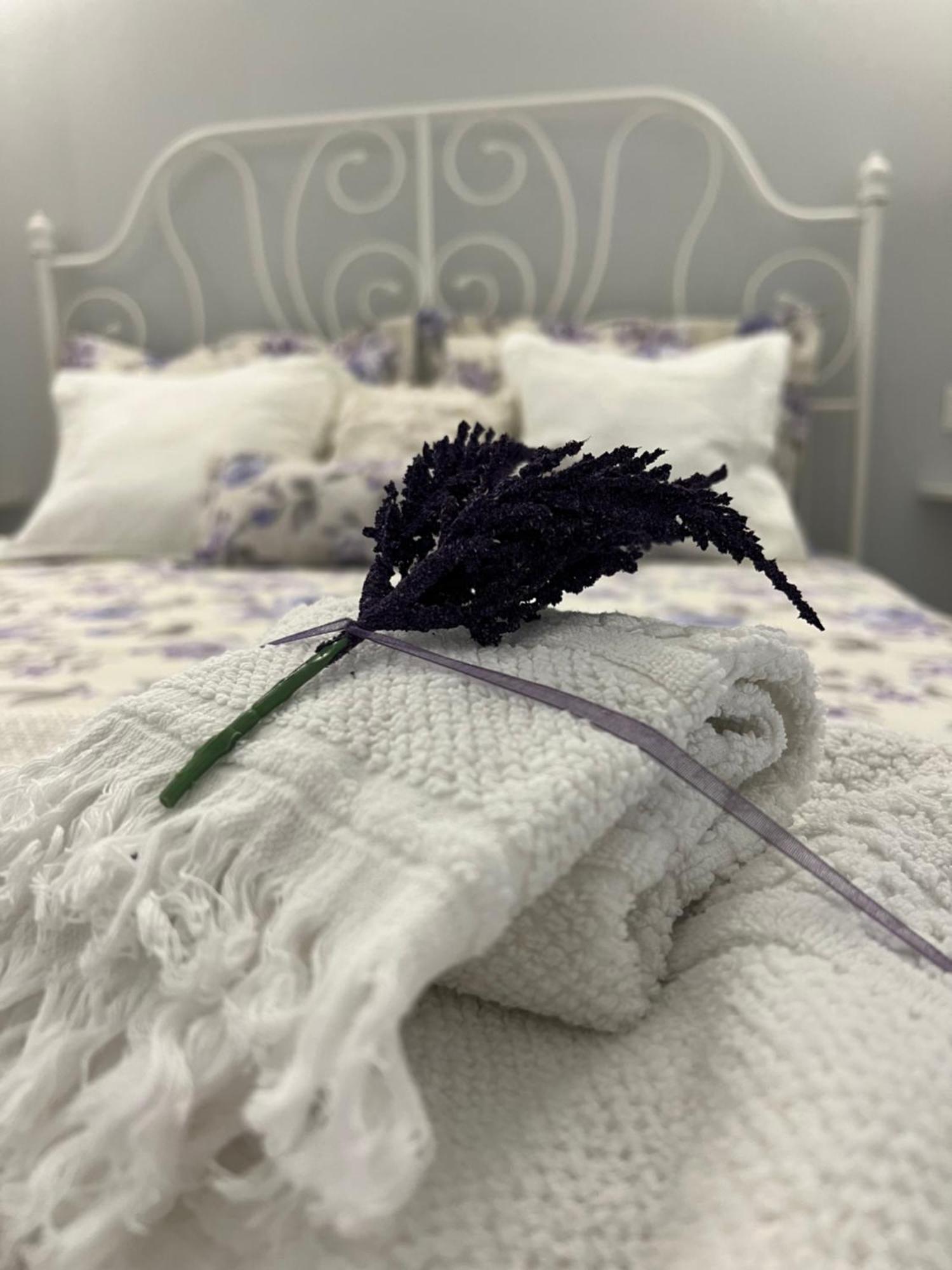 B&B Puglia D'Amare Lizzano  Pokoj fotografie